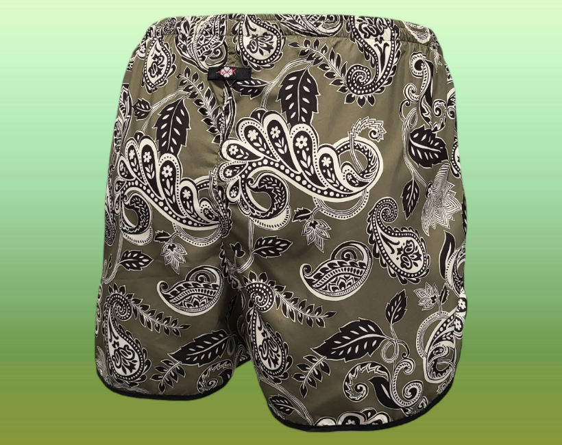 280 f2321 pasley militare