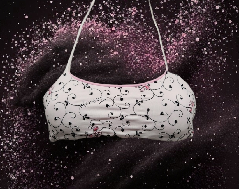 B2290SG fenicotteri sang