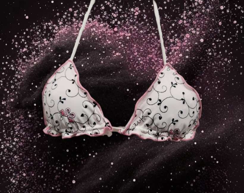 B902SG fenicotteri sang