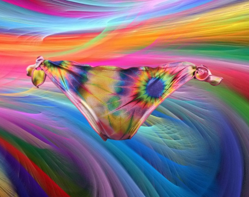 Immagine