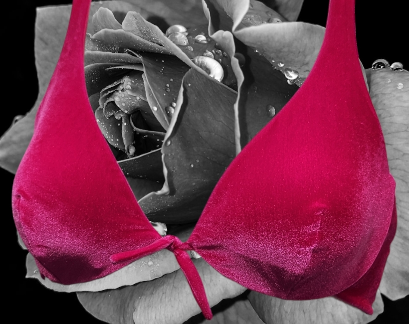 R2059FU agata velluto