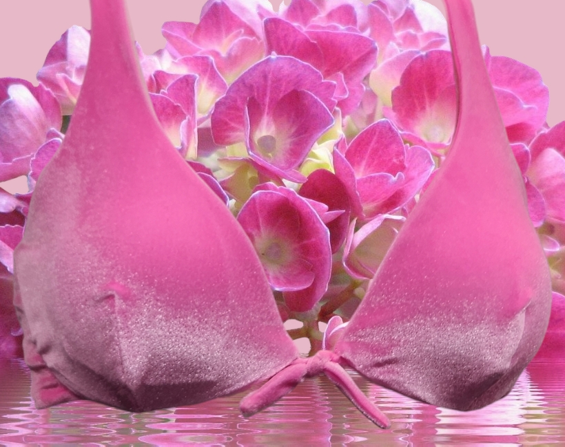 R2059FU ortensia velluto