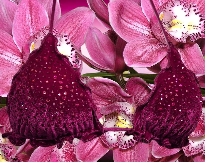 R902ST orchidea velluto