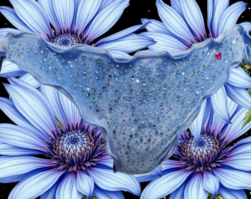 S925ST fiordaliso velluto