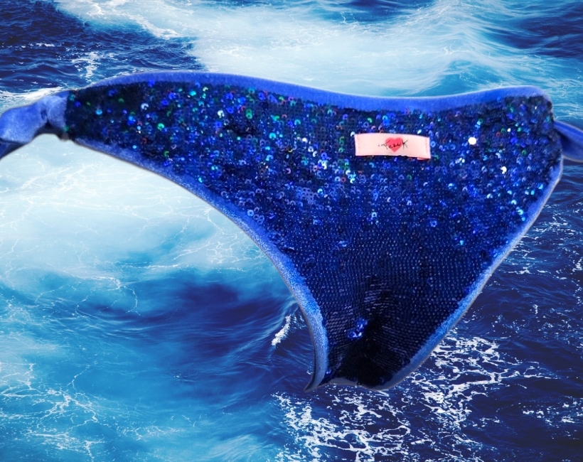 S930MP fulmine bluette