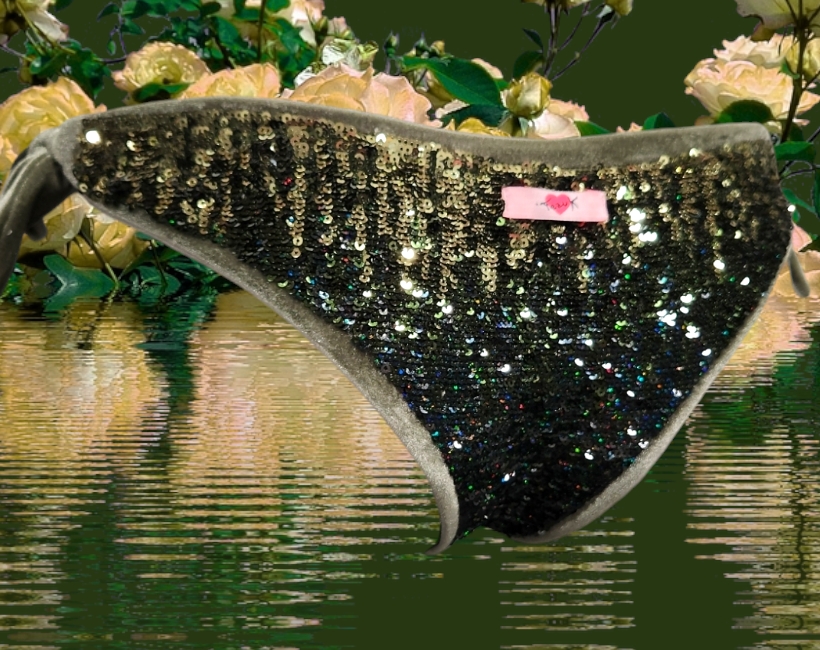 S930MP fulmine militare